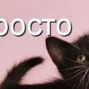 Олександра Сузінович фотография #22 (источник - https://vk.com/id67921577)