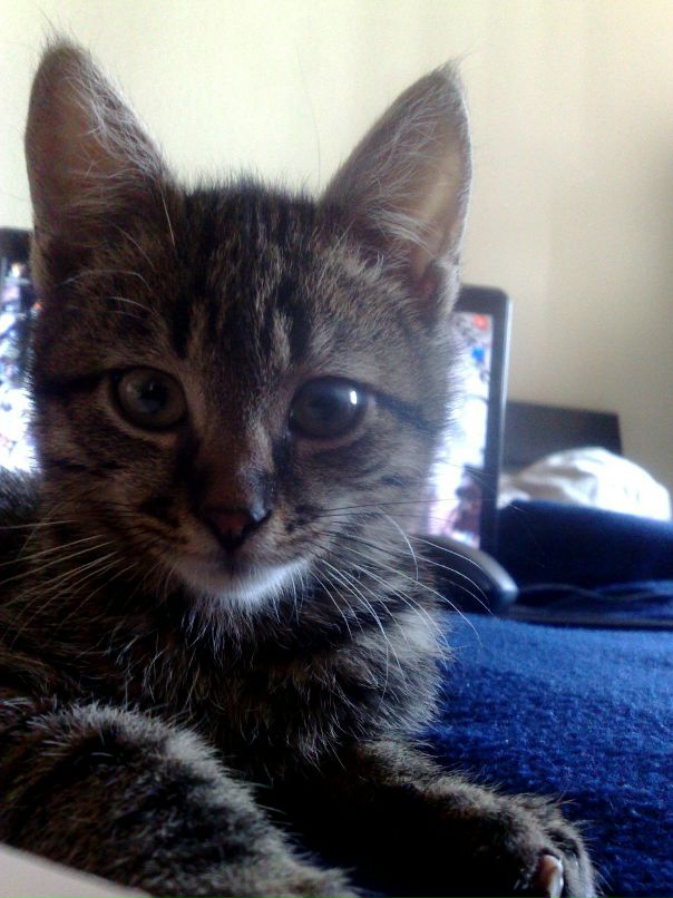 Ksenya Demchenko фотография #50