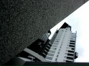 Дмитрий Поцелуев фотография #33 (источник - https://vk.com/id15425947)