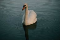 Фотография Поповой Иринки