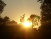 Фотография Кондрашевой Александры