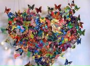 Фотография Акуловой Марии