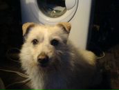 Фотография Сунгатуллина Алмаза