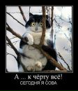 Фотография Габовой Натальи