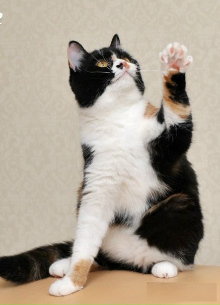 №16, Марина Котова, Тольятти №16, Марина Котова, Тольятти