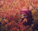 Release Me фотография #1