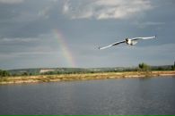 Фотография Макаровой Елены