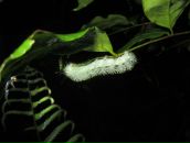 Дмитрий Гомон фотография #14 (источник - https://vk.com/id833603)