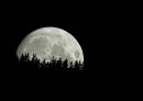 Фотография Севостьянова Евгения