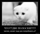 Лєра Лєрочка фотография #30 (источник - https://vk.com/id58026918)