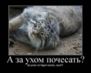 Асиф Зардари фотография #15 (источник - https://vk.com/id42724047)