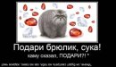 Асиф Зардари фотография #7 (источник - https://vk.com/id42724047)