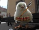 Андрій Терлецький фотография #6 (источник - https://vk.com/id28284384)
