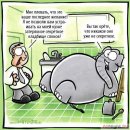 Иван Меняйлов фотография #39 (источник - https://vk.com/id1688)