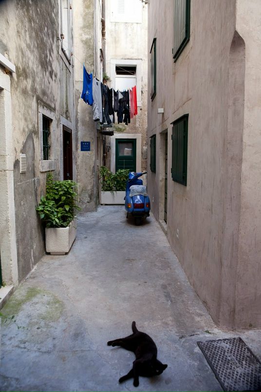 Дмитрий Симоненко фотография #15