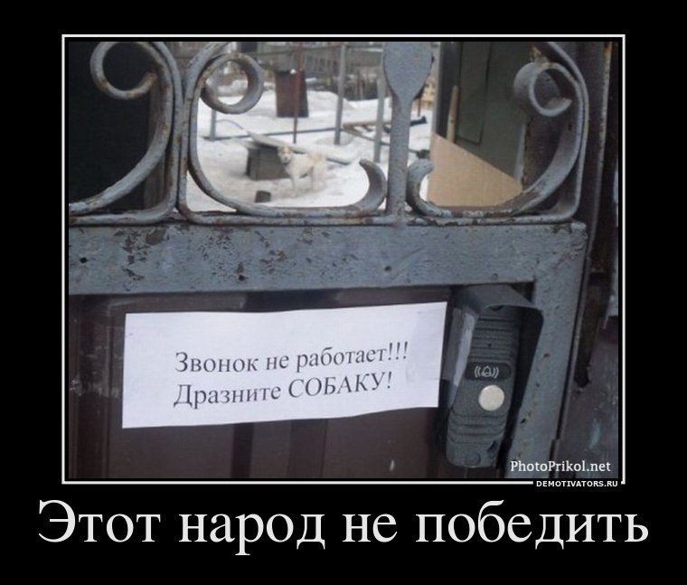 Дмитрий Медведев фотография #45