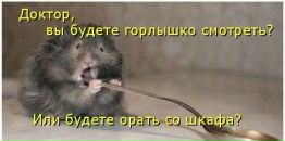 Фотография Дмитриевой Светланы