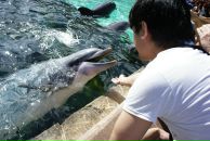 Фотография Ушанова Азамата