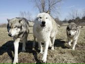 Фотография Лескина Лилия