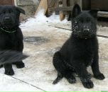 Ярик Сусляк фотография #22 (источник - https://vk.com/id6677792)