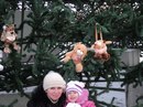 Фотография Зверевой Марины