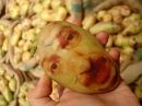 Фотография Александр Прадед