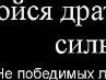 Сергій Соляр фотография #44 (источник - https://vk.com/id133310066)