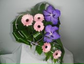 Фотография Корнеевой Натальи