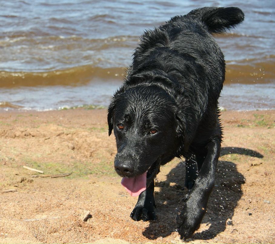 Даниил Сидоров фотография #27