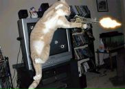 Фотография Ягина Андрея