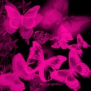 Ольга =))))))))))) фотография #1