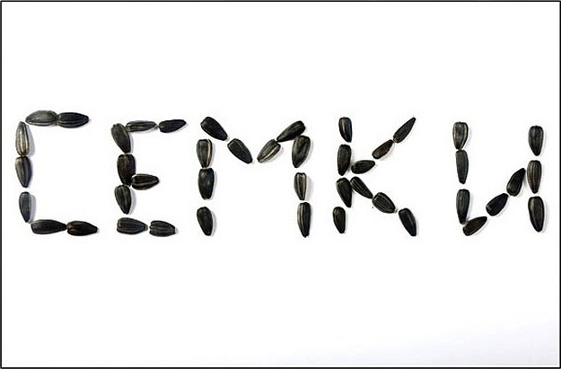 Василий Суслаев фотография #33