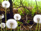 Фотография Черновой Инны