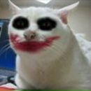 Фотография Ходярёва Алексея