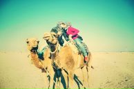 Фотография Портнов Сергей