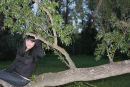 Фотография Володиной Лены