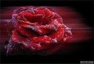 Фотография Бережновой Ольги