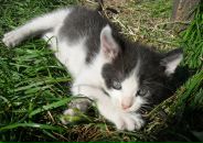 Фотография Семенец Екатерины