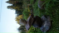 Дмитрий Крамарев фотография #30 (источник - https://vk.com/id274882)