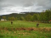 Lena Soleil фотография #25 (источник - https://vk.com/id787947)