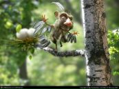 Фотография Омельчука Дмитрия