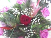 Віталік Стрілець фотография #4 (источник - https://vk.com/id103173610)