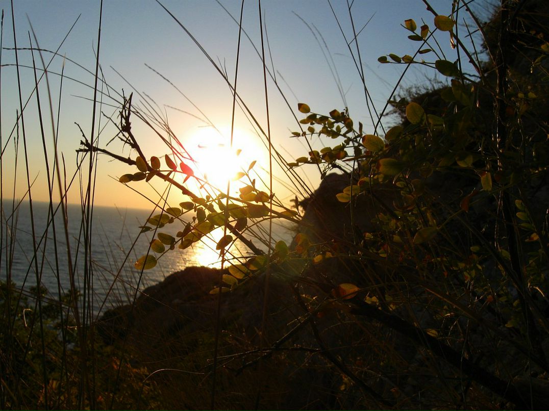 Игорь Кузовлев фотография #7