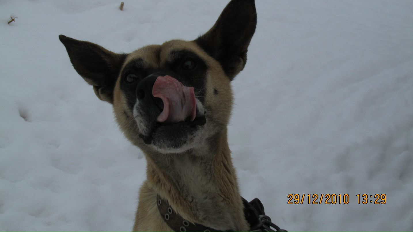 Александр Соболь фотография #12