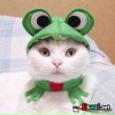 Светлана Каримова фотография #34 (источник - https://vk.com/id133829341)