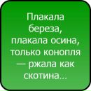 Міша Гуменюк фотография #32 (источник - https://vk.com/id143938924)