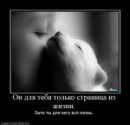 Хэй _куликов_ фотография #41 (источник - https://vk.com/id63813271)