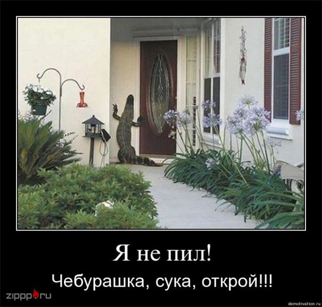 Андрій Сидлярук фотография #23