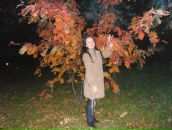 Фотография Веденеевой Наташеньки