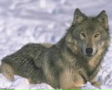 Фотография Обадина Дмитрия